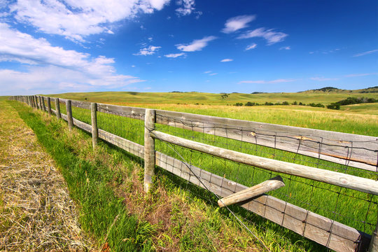Prairie Fenceline South Dakota