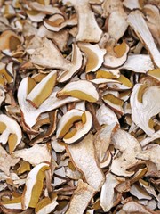 dried porcini mushrooms and dried mushrooms for sale at Mountain