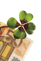 Kleeblatt auf 50 Euro-Banknote, close-up