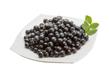 Blueberry