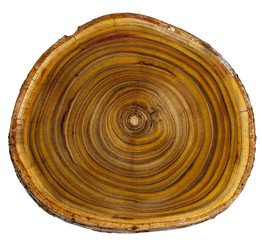 cut tree stamps background