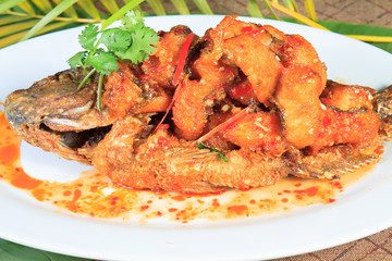 Thai food style: Fried fish toppted with chilli sauce