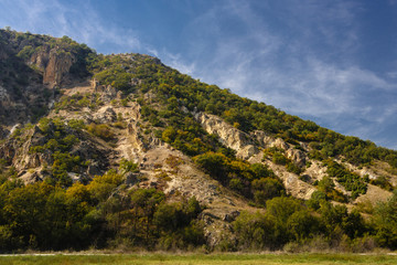 Fototapeta na wymiar Bushes on a mountain slope