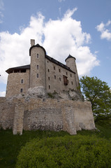 Fototapeta na wymiar knight's castle in Bobolice, Poland