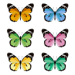 Obraz na płótnie Canvas set butterfly