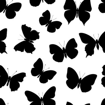 black-and-white seamless pattern butterfly