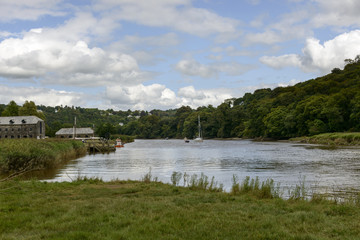 Tamar river at Cotehele, Cornwall