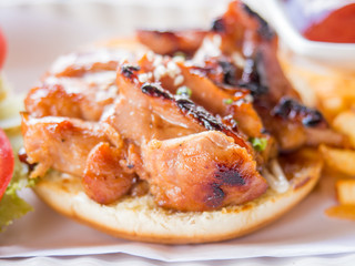 Yummy chicken burger with fries