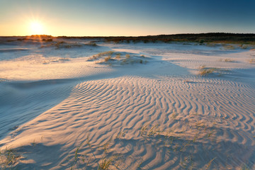 Fototapeta na wymiar sunrise over sand dunes