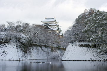 Fototapeta premium 雪の名古屋城