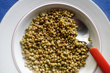 A plate of Mediterranean lentils