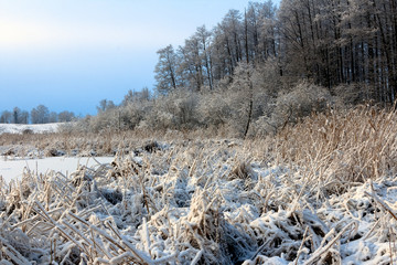 Szrony © Wojciech Lisiński