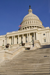 Obraz premium Capitol, located in Washington, DC