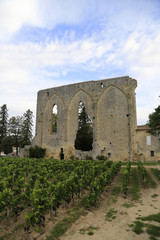 Fototapeta na wymiar Spitzbogenfenster der Grandes Murailles in Saint-Emilion