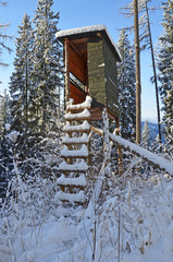 hochstand im winter