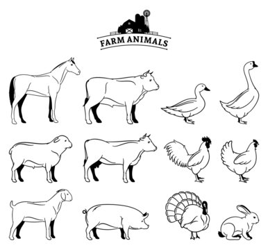 Vector Farm Animals Isolated on White