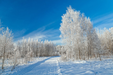 Obraz premium Russian winter