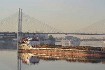 Cargo ship and cable-braced bridge