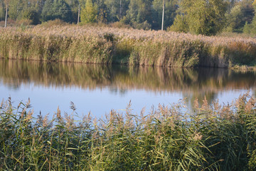 Small lake