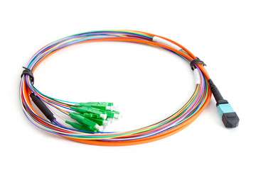 Ribbon fiber optic fun out patchcord with connector MTP