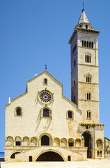 Fototapeta premium Trani cathedral in Apulia, Italy