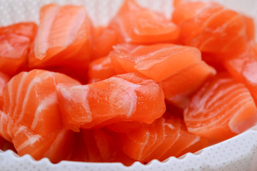 salmon