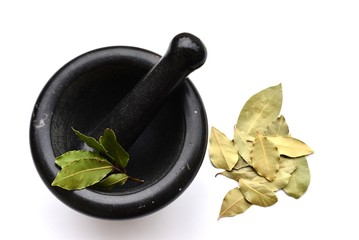 Bay Leaves Dry and Fresh