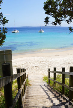 Boardwalk views Cabbage Tree beach Australia