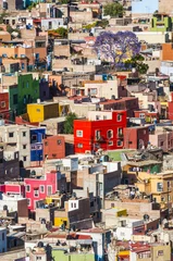 Gordijnen Colorful town of Guanajuato (Mexico) © Noradoa
