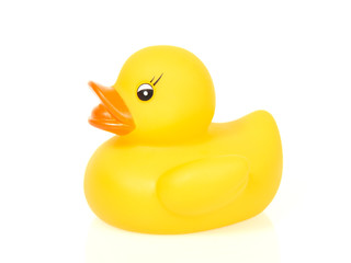 Yellow rubber duck