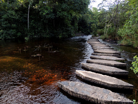 Parque Cachamay