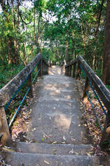 Obraz premium The stairs to the top of PHRA THAT PHUPEK. 490 step to top mount