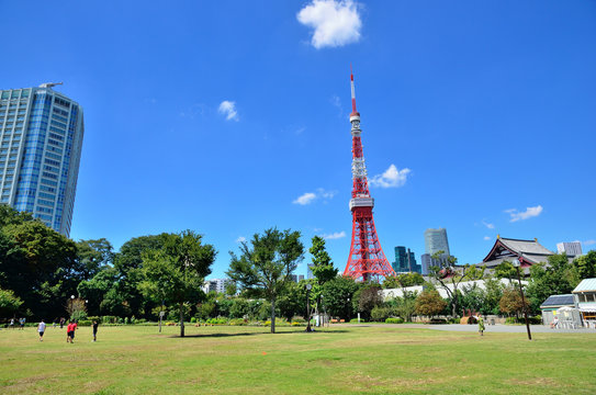 Fototapeta 東京タワー