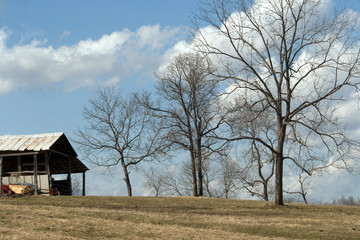 Hillside on a farm