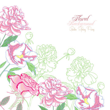 Background with  peonies and pink rose-02