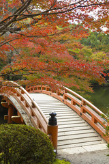 Red bridge on an autumn garden