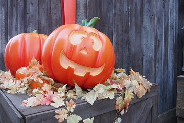pumpkin for Halloween decoration