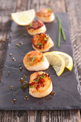 scallop