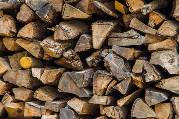 Log Wood for constrution Buid