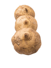 Jicama or Mexican yam over white background 