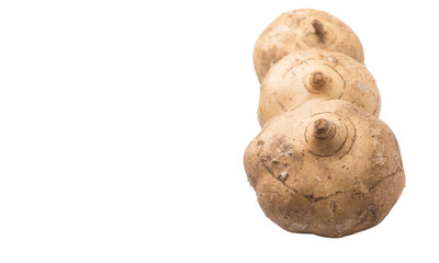 Fototapeta premium Jicama or Mexican yam over white background 
