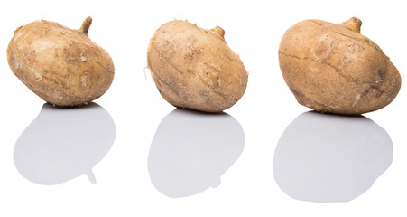 Jicama or Mexican yam over white background 