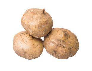 Jicama or Mexican yam over white background 