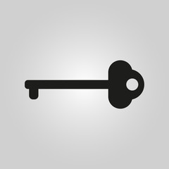 The key icon