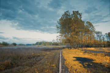 Park of Pateira de Fermentelos