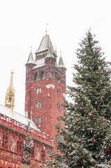 Basel, Altstadt, Marktplatz, Rathaus, Weihnachten, Schweiz