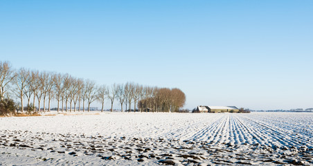 Plowed field covered with snow