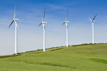 Fototapeta premium Wind turbines farm, Basque Country, Spain