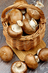 Portabello Mushroom