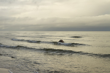 Grey Baltic sea.